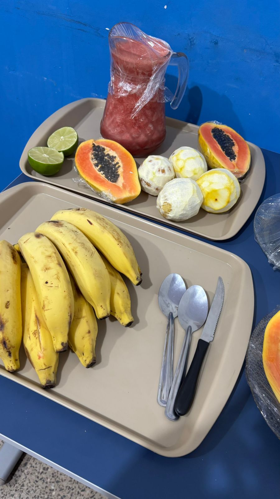 Degustação da alimentação escolar