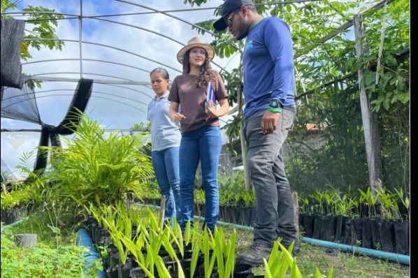 Agricultura familiar